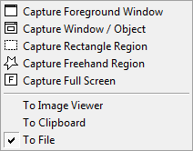 Capture