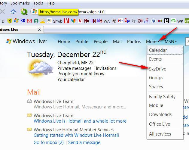 SkyDrive
