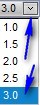 Magnifier Zoom Ratio