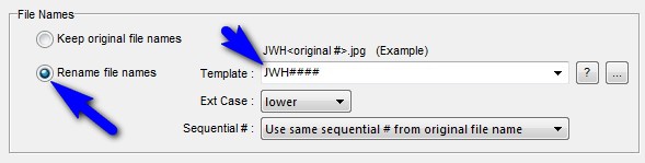 file name
