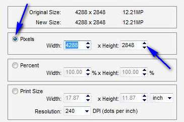 Pixels, Percent,, Print Size