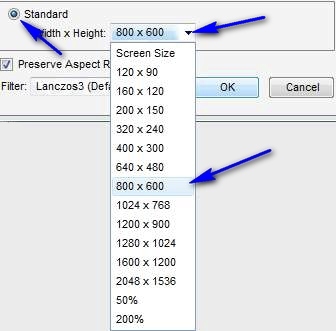 Standard Size