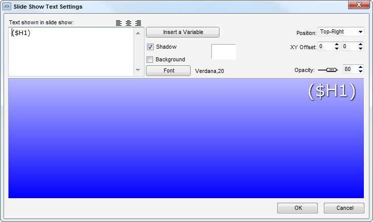 Text Option Window