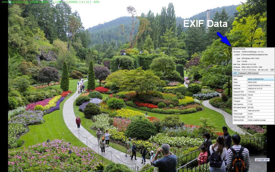 EXIF Data