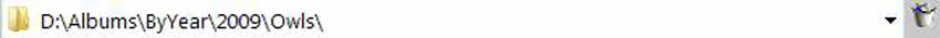 Address Bar